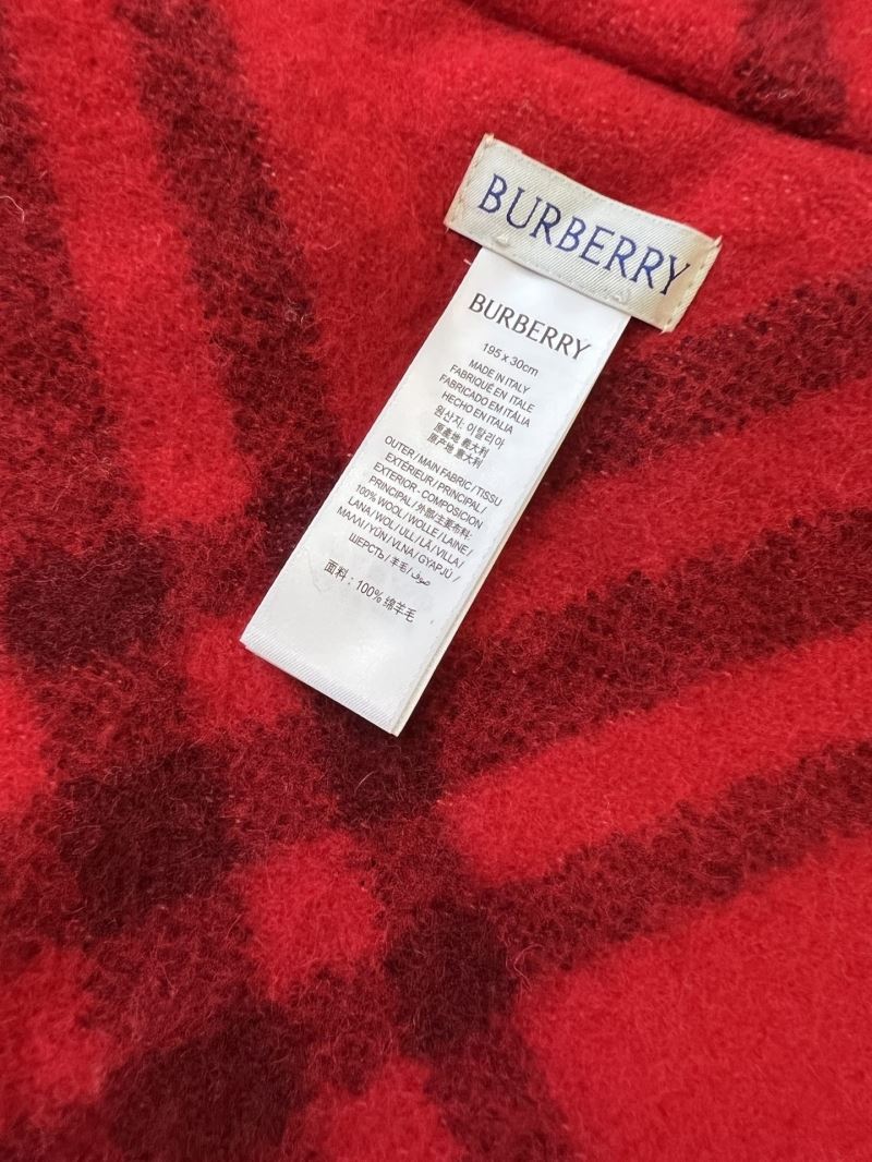 Burberry Caps Scarfs